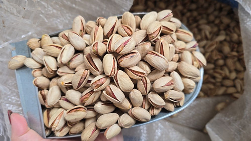 پسته ی اکبری درشت ۵۰۰ گرمی